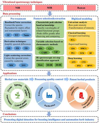 Trends in digital detection for the quality and safety of herbs using infrared and Raman spectroscopy
